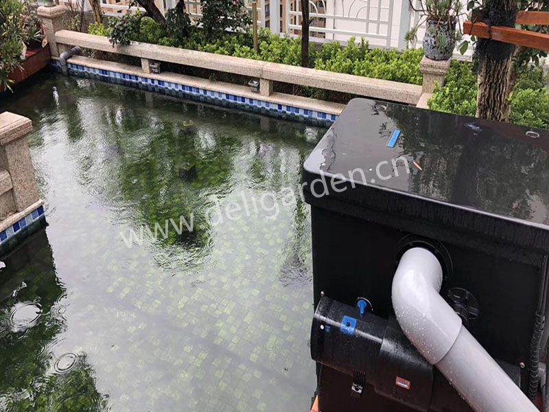 某庄园锦鲤鱼池(图3)